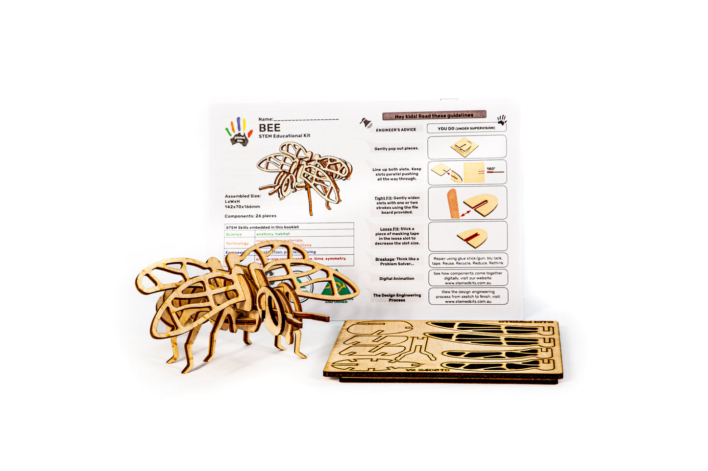 Hands-on Bee Kit - Learn Bee Anatomy and Environmental Science