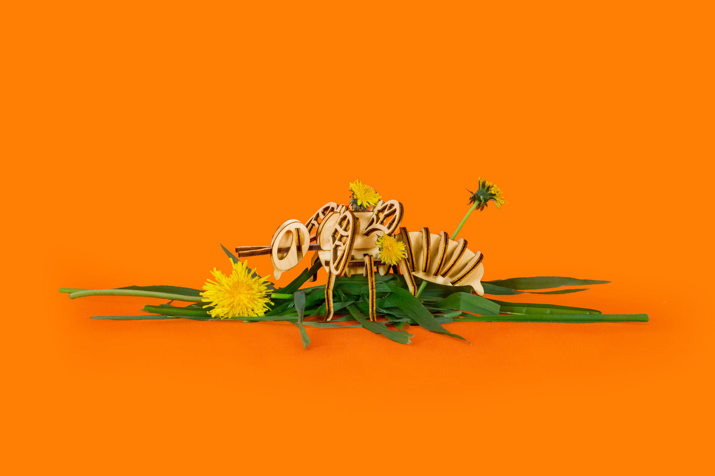 "Educational Bee Model for Kids - Explore Bee Anatomy and Nature
