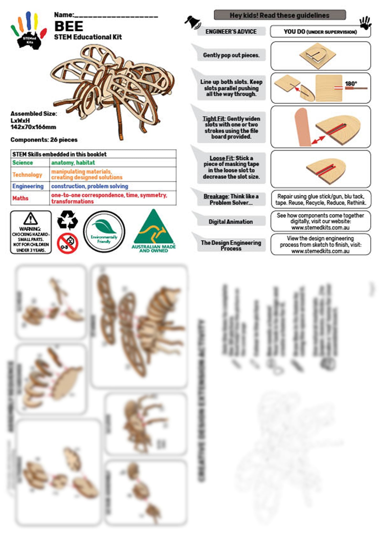 Bee Anatomy Learning Kit - Interactive STEM Project for Kids