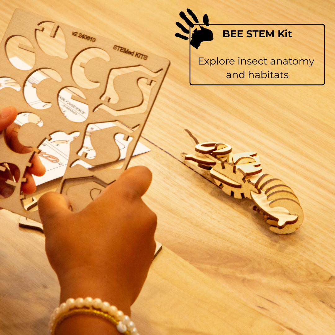 Explorer STEM Bundle