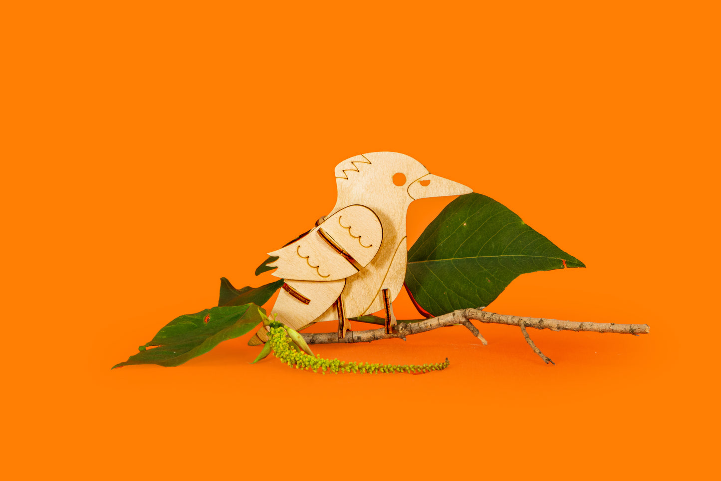 STEM Kit for Kids - Build and Discover Kookaburra Body Parts and Function