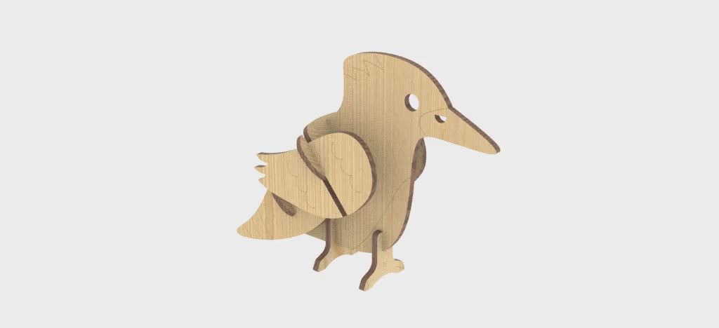 Kookaburra Anatomy Learning Kit - Interactive STEM Project for Kids