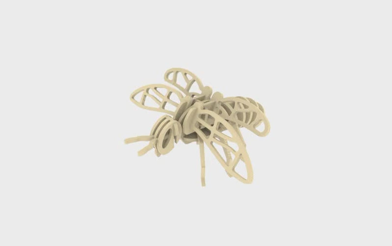 Bee Anatomy STEM Kit for Kids - Hands-on Learning About Bee Structure