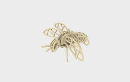 Bee Anatomy STEM Kit for Kids - Hands-on Learning About Bee Structure